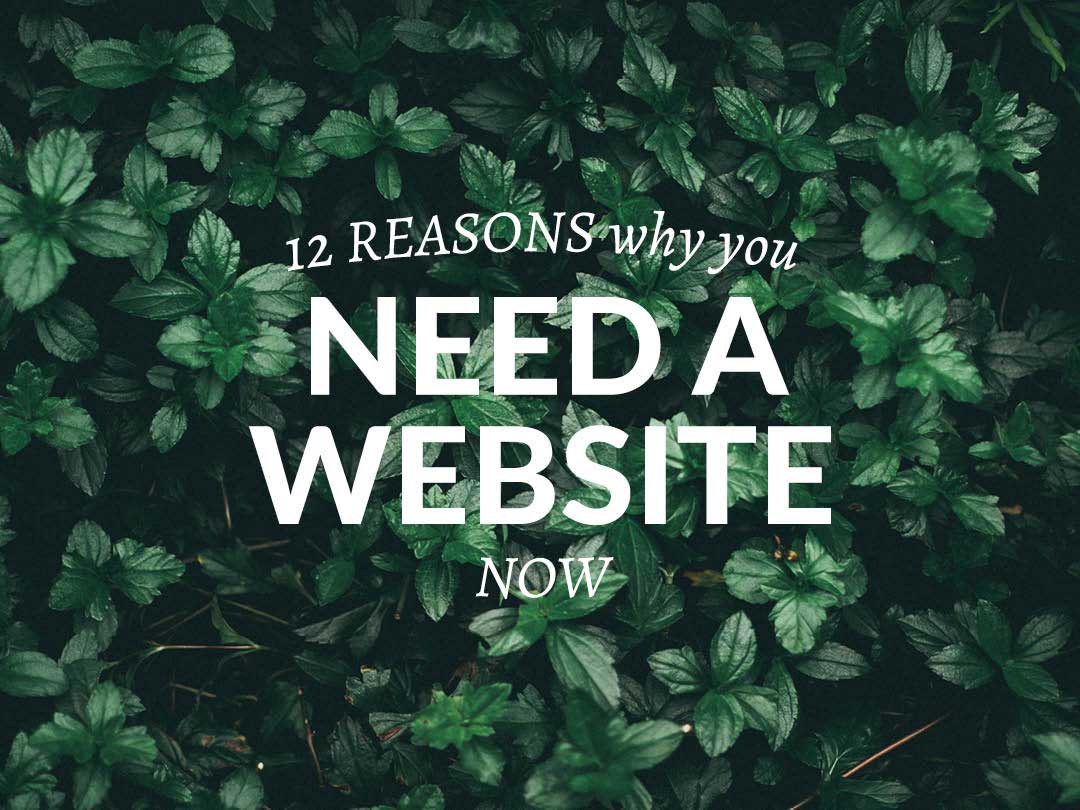 Why do I need a website? 12 reasons why you need a website.