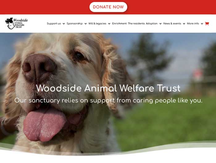 Woodside Website Design