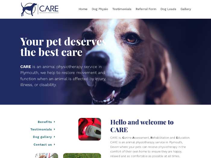 Care Vet Physio Website Design