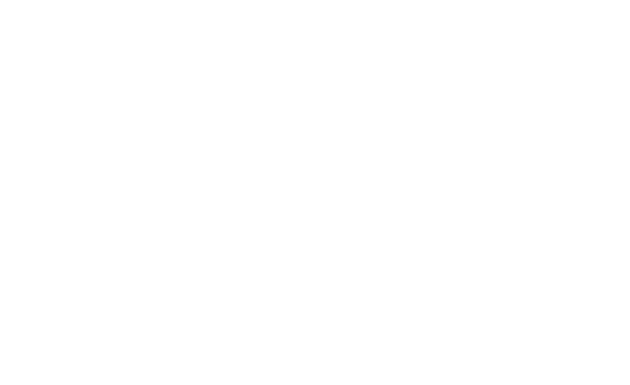 Gee Whiz a digital marketing agency that gets results